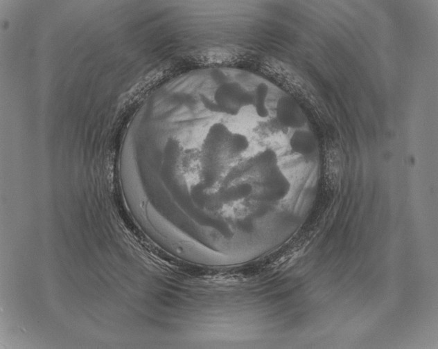 X0000070360545200606301833