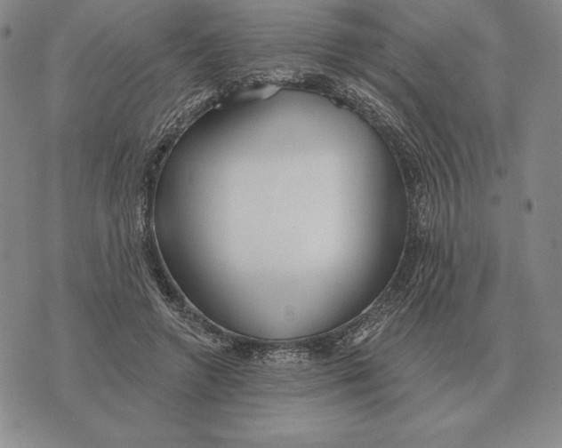 X0000070360546200606301833