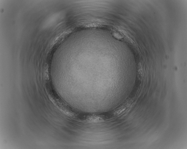 X0000070360547200606301833