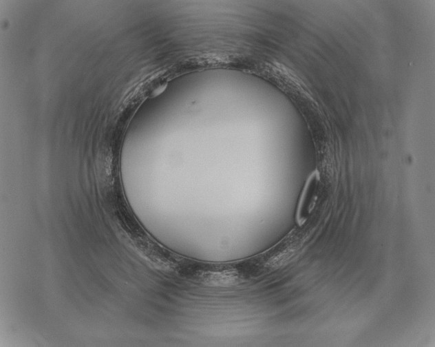 X0000070360548200606301833