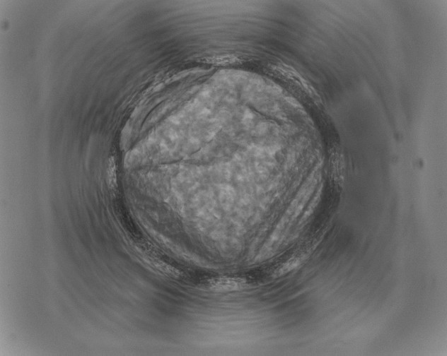 X0000070360549200606301833