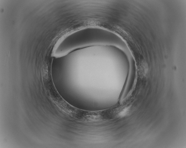 X0000070360552200606301833