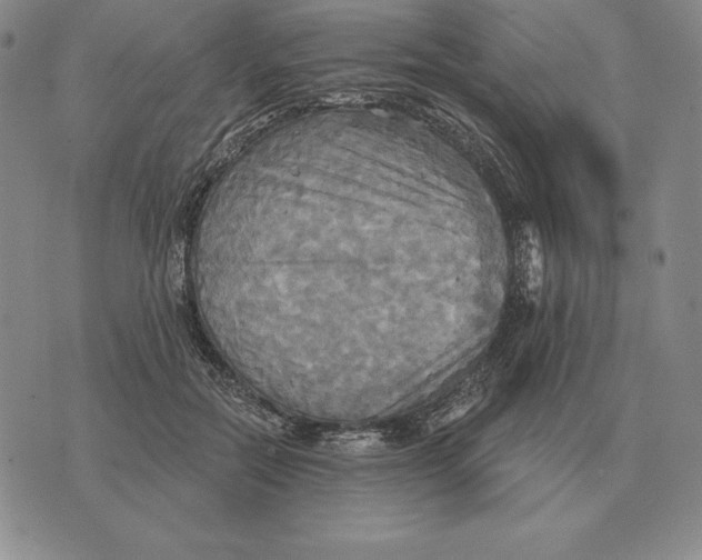 X0000070360554200606301833