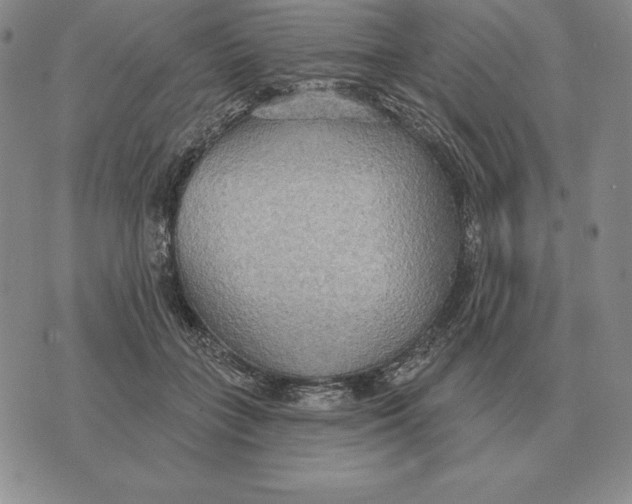 X0000070360555200606301833