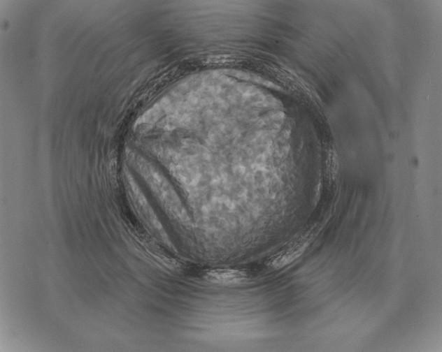 X0000070360557200606301833