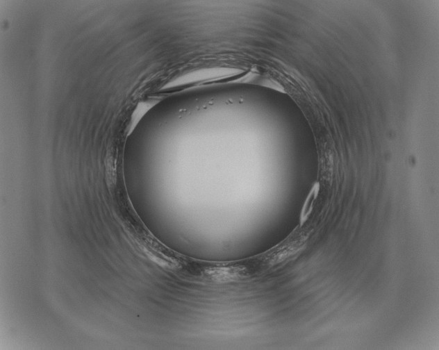 X0000070360558200606301833