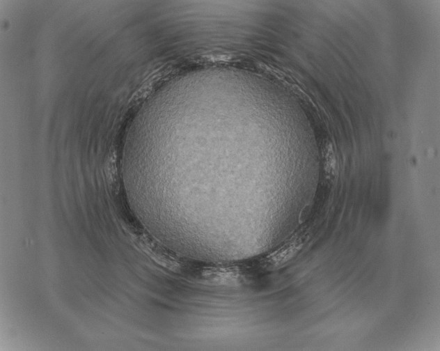 X0000070360559200606301833