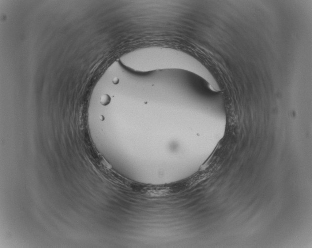 X0000070360560200606301833