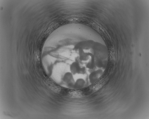 X0000070360561200606301833