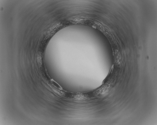 X0000070360562200606301833