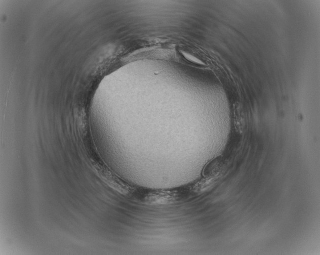 X0000070360563200606301833