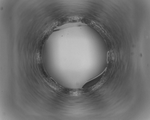 X0000070360564200606301833