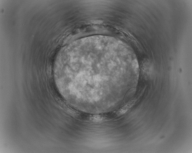 X0000070360565200606301834