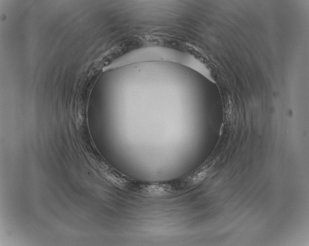 X0000070360566200606301834