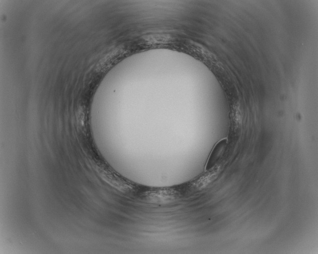 X0000070360567200606301834