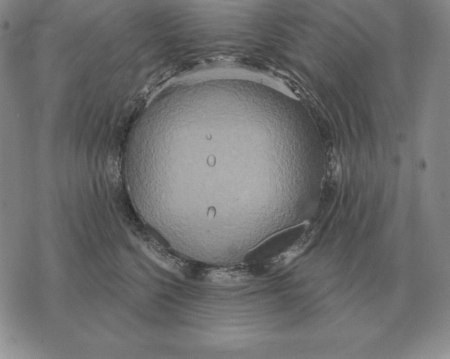 X0000070360568200606301834