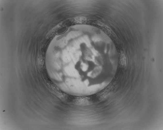 X0000070360569200606301834