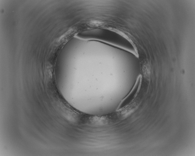 X0000070360570200606301834