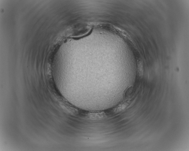 X0000070360571200606301834