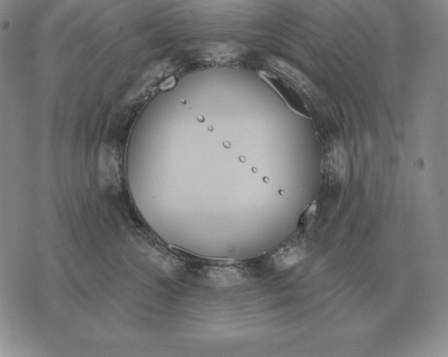 X0000070360572200606301834