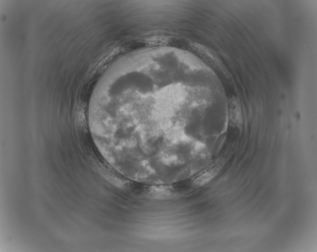 X0000070360573200606301834