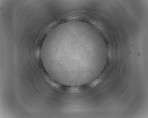 X0000070360574200606301834