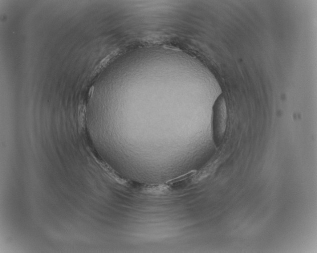 X0000070360576200606301834