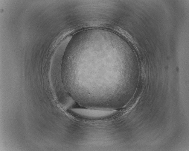 X0000070360577200606301833