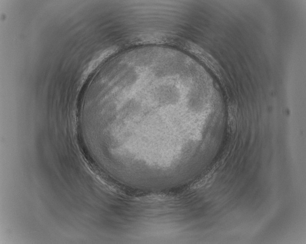 X0000070360578200606301833