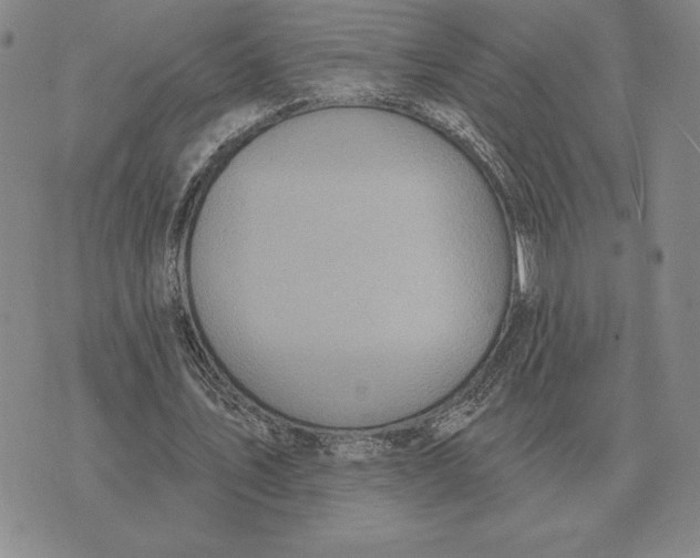 X0000070360579200606301833