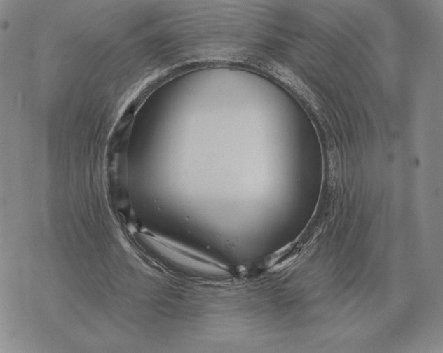 X0000070360580200606301833