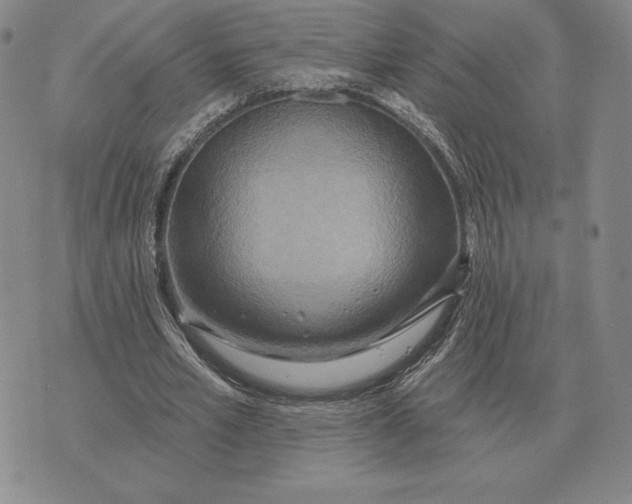 X0000070360581200606301833