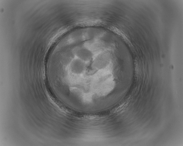 X0000070360582200606301833