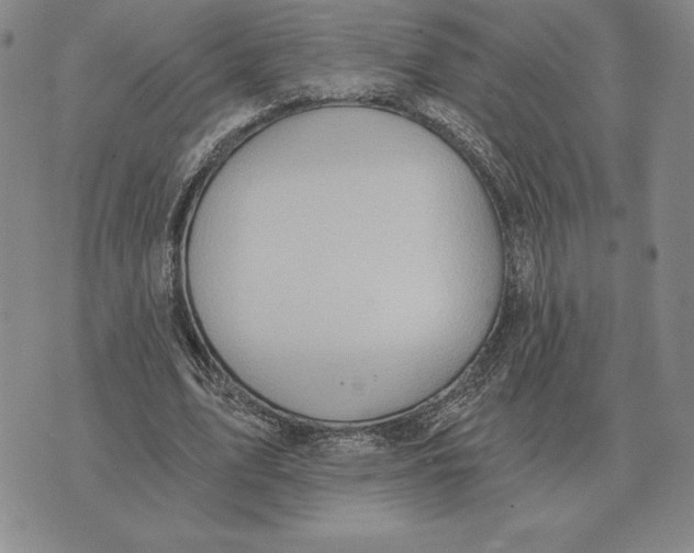 X0000070360583200606301833