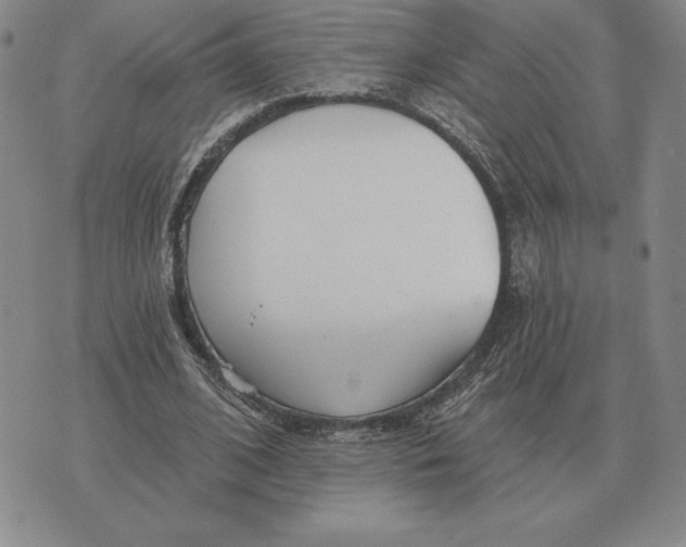 X0000070360584200606301833