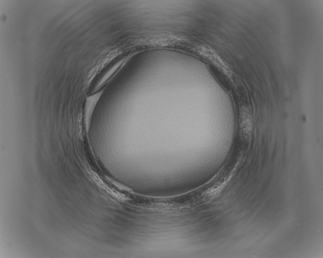 X0000070360585200606301833