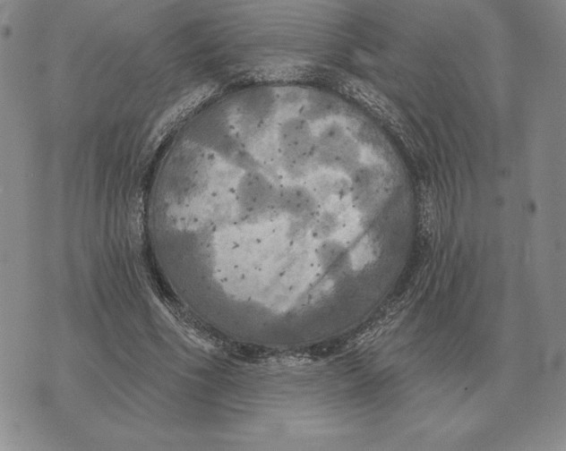 X0000070360586200606301833