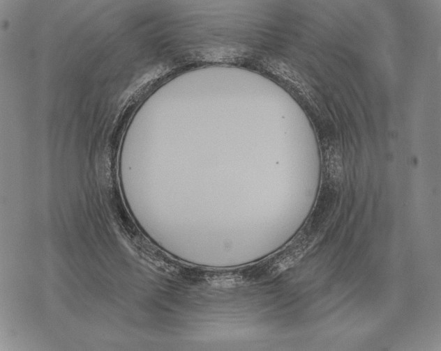 X0000070360587200606301833