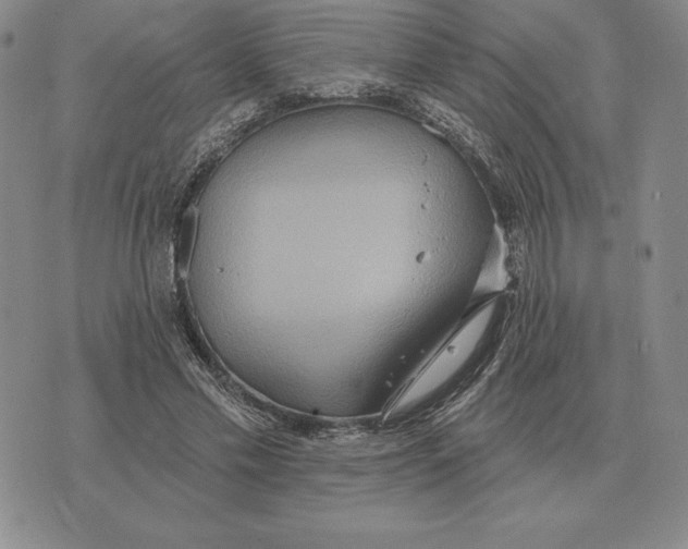 X0000070360589200606301833