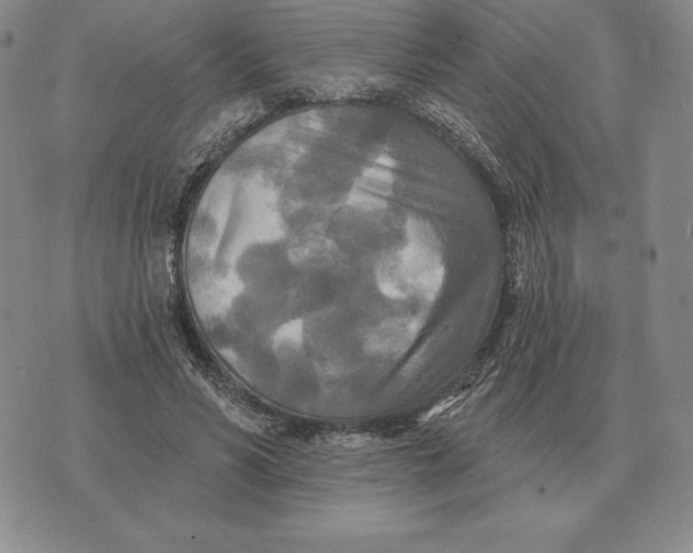 X0000070360590200606301833