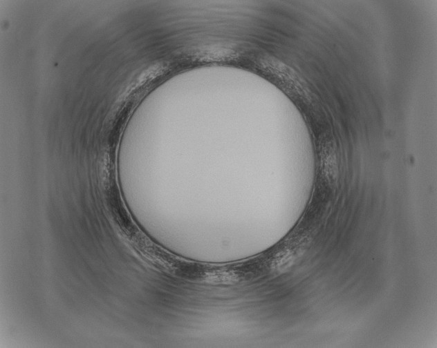 X0000070360591200606301833