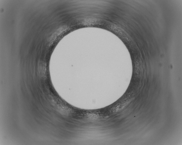 X0000070360592200606301833