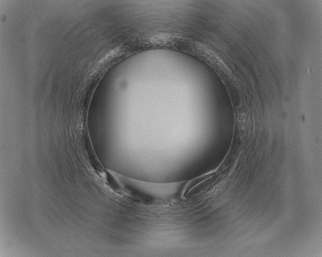 X0000070360593200606301833