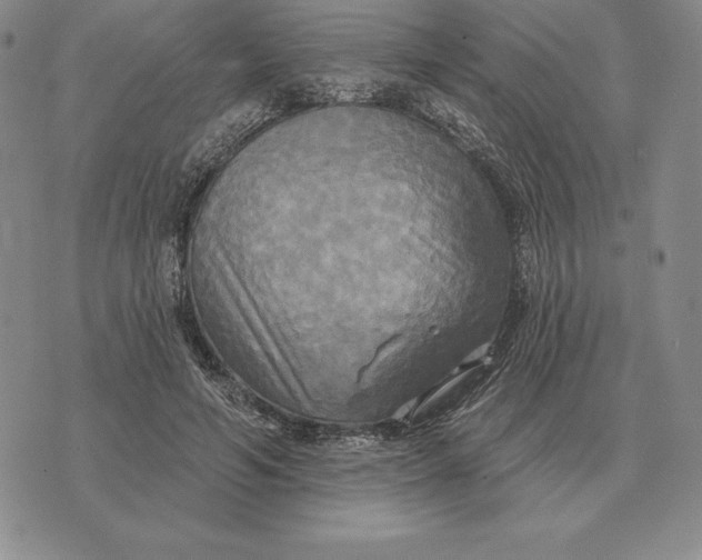 X0000070360594200606301833