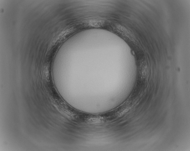 X0000070360595200606301833