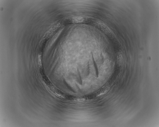 X0000070360598200606301833