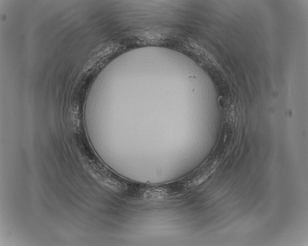 X0000070360599200606301833