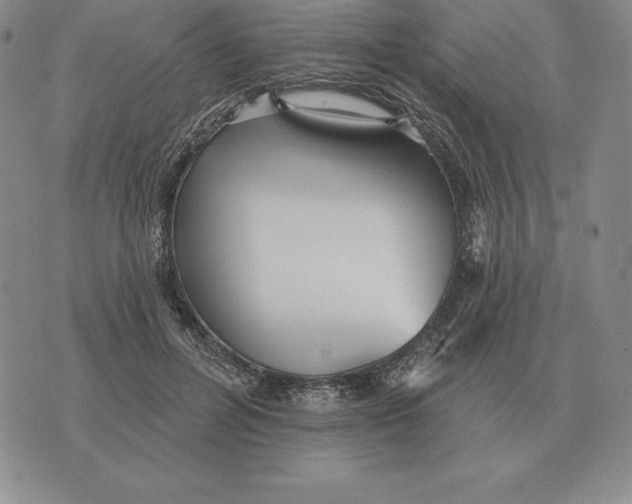 X0000070360600200606301833