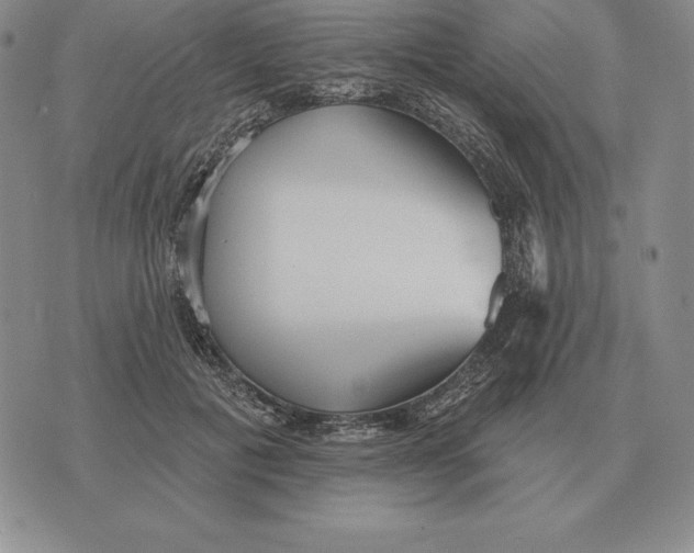 X0000070360601200606301833