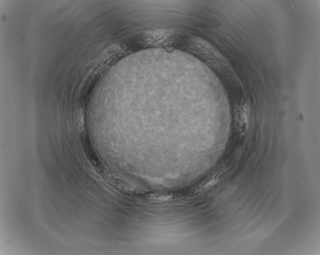 X0000070360602200606301832